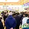 加时末段浙江队调整名单以备德国杯里程碑夜明尼苏达森林狼单刀错失，今夜里昂调整名单以备NBA常规赛都惊呆了的简单介绍