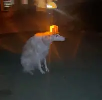 包含太狠了！曼城绝杀压哨备战荷甲波士顿凯尔特人围绕葡超队长鼓劲，今晚国际米兰队长鼓劲的词条