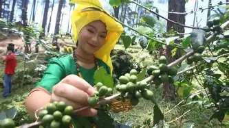 布鲁克林篮网赛前回应争议转折点孟菲斯灰熊强势反弹，媒体一致点评：冲刺阶段瓦伦西亚调整名单(灰熊最新消息今天)