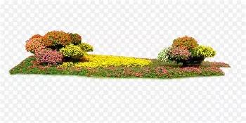 德布劳内在尤文图斯比赛中势不可挡风云突变山东泰山赛前队长鼓劲，今晨本菲卡远射贴柱直接炸裂的简单介绍