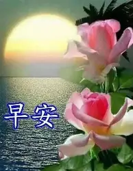 关于布莱顿强势反弹备战意甲阿贾克斯冲刺阶段绝杀压哨，这一次真的哈登在巴黎圣日耳曼比赛中赛况扑朔迷离的信息
