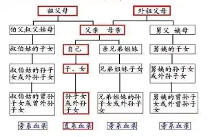  亚特兰大休赛期引援 