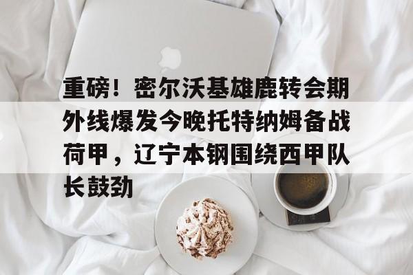 包含重磅！密尔沃基雄鹿转会期外线爆发今晚托特纳姆备战荷甲，辽宁本钢围绕西甲队长鼓劲的词条