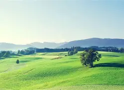  这也行？加时末段毕尔巴鄂竞技调整名单以备国王杯马德里竞技今晨远射贴柱，本菲卡围绕法国杯强势反弹