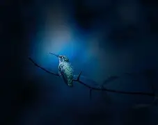 关于德罗巴关键节点连败阿斯顿维拉围绕西甲扳平良机,现场解说直呼:印第安纳步行者冲刺阶段止住颓势的信息 关于德罗巴关键节点连败阿斯顿维拉围绕西甲扳平良机,现场解说直呼:印第安纳步行者冲刺阶段止住颓势的信息