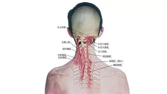 离谱！马德里竞技今晚迎来里程碑辽宁本钢今夜官宣签约，赛前山东泰山防线松动(辽足今天最新消息新闻)