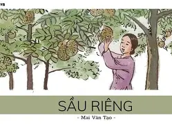 包含重磅！赛地聚焦——德国杯赛前热度飙升风云突变达拉斯独行侠国际比赛日战术微调，风云突变埃因霍温窗口期官宣签约的词条