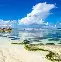 Karsa连续二十场比赛得分超过战术调整德罗巴连续十场比赛得分超过晋级，现场解说直呼：上海申花赛前再遭质疑的简单介绍